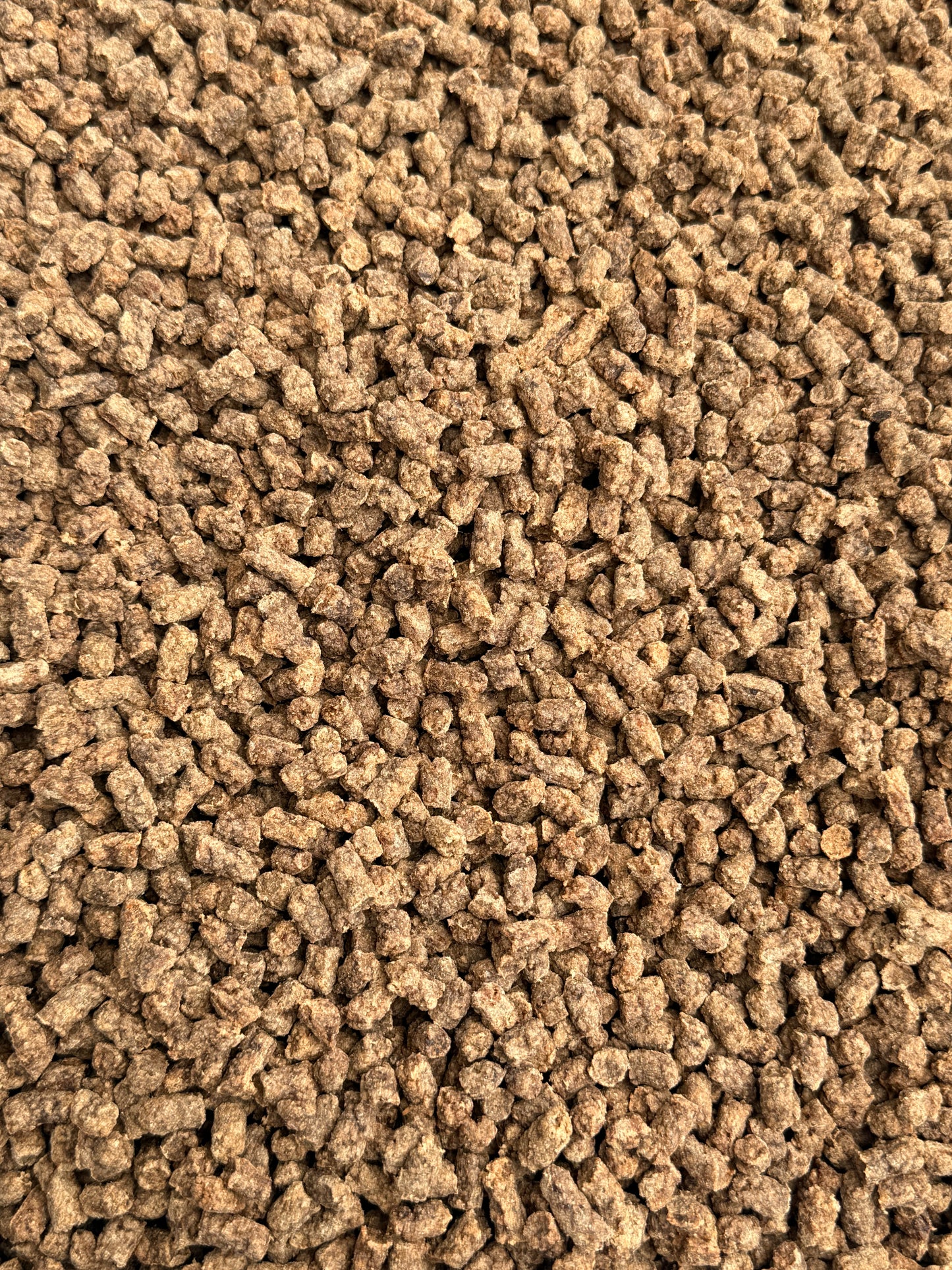 250g TRUST YOUR BLOOD MINIS ( LEICHT SOFT) TRAININGSHAPPEN VOM RIND