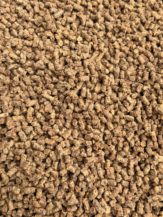 250g TRUST YOUR BLOOD MINIS ( LEICHT SOFT) TRAININGSHAPPEN VOM RIND